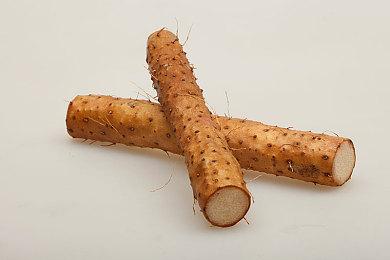 合作冒险解谜新作《星际尼莫》登陆抢先体验阶段